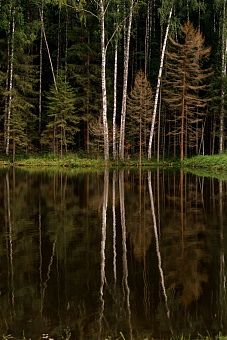 Коллекция видов галерея_2_фото_1